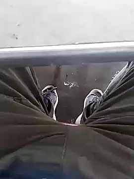 Aliyeni1 online show from 1, 12, 2025