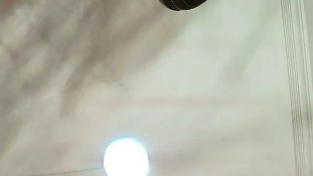 Snapshot of Dixie_grey1 chatting on 13, 9, 2025 Dixie grey1 online show from 13, 9, 2025