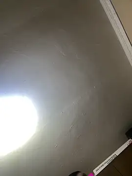 Snapshot of THICKBUNNYCHICKxxx chatting on 14, 12, 2025 THICKBUNNYCHICKxxx online show from 14, 12, 2025