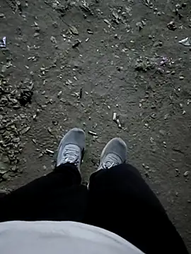 indian pavi online show from 8, 2, 2026