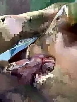 Snapshot of Huynh-duc-huy chatting on 5, 2, 2026 Huynh-duc-huy online show from 5, 2, 2026