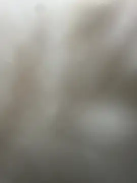  01ruhi online show from 29, 11, 2025