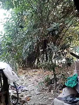 Hotty-rosni online show from 4, 12, 2025