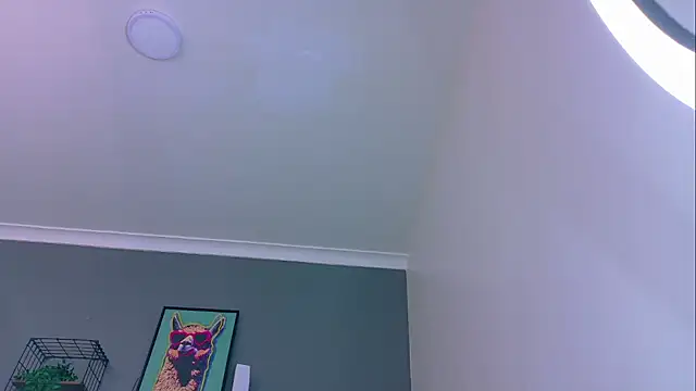 Snapshot of MrFox__ chatting on 16, 5, 2026 MrFox online show from 16, 5, 2026