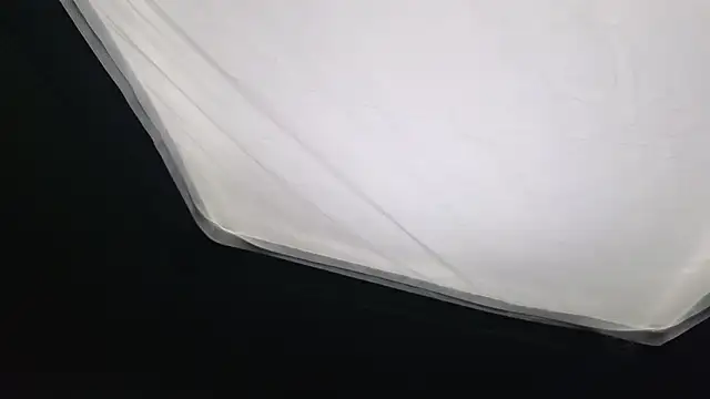 Snapshot of Sabina_Ros chatting on 2, 2, 2026 Sabina Ros online show from 2, 2, 2026