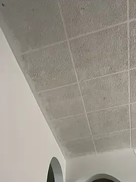 Snapshot of LICEET chatting on 25, 9, 2025 LICEET online show from 25, 9, 2025