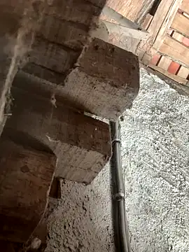 Snapshot of fcach2244 chatting on 9, 9, 2025 fcach2244 online show from 9, 9, 2025