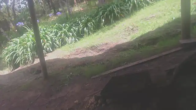 habdiela online show from 19, 4, 2026