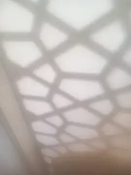 bullut06 online show from 4, 2, 2026