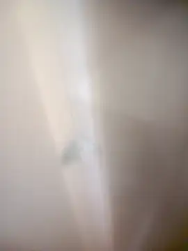 bullut06 online show from 20, 2, 2026