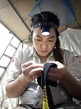 naop04 online show from 6, 11, 2025