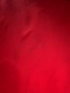 misharani00 online show from 2, 10, 2025