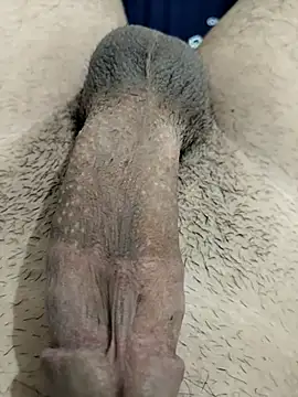 Zepe 12 online show from 30, 11, 2025