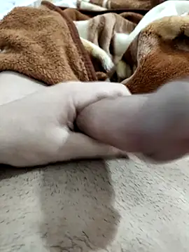 Zepe 12 online show from 10, 2, 2026