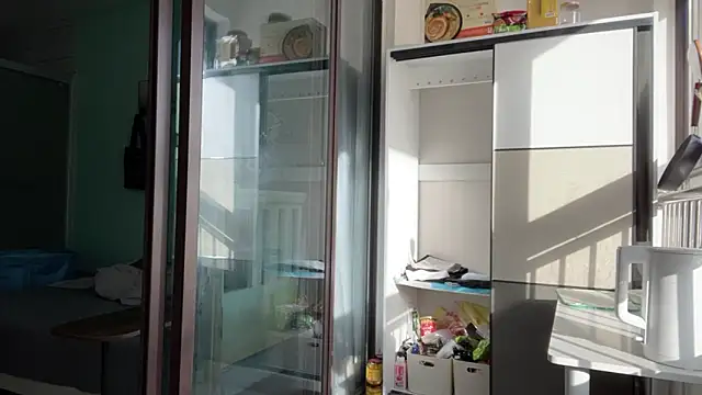 cily online show from 25, 11, 2025