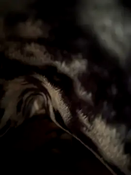 jackyw online show from 21, 11, 2025