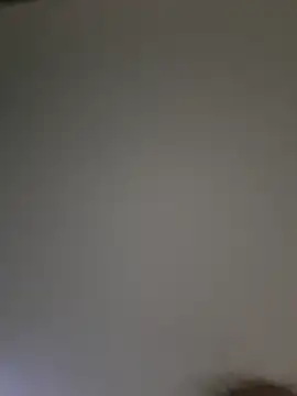 itsLoBunny online show from 23, 2, 2026