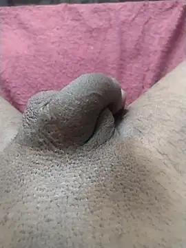 motoboytkbh online show from 24, 4, 2026