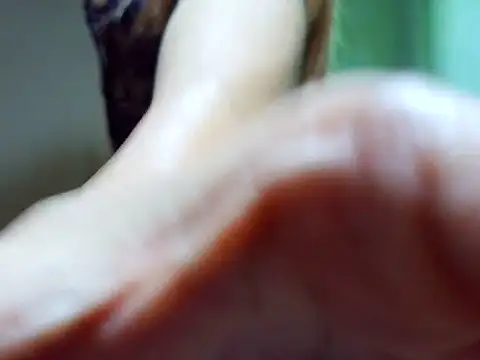 ashley kimxx online show from 22, 2, 2026