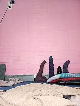 Rose 194 online show from 18, 11, 2025