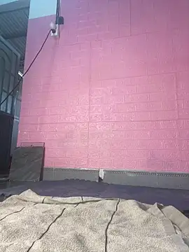 Rose 194 online show from 24, 2, 2026