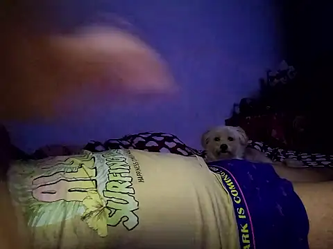 Snapshot of Alexandra23d chatting on 2, 10, 2025 Alexandra23d online show from 2, 10, 2025