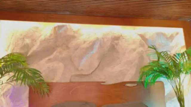 alisonn moon online show from 25, 3, 2026