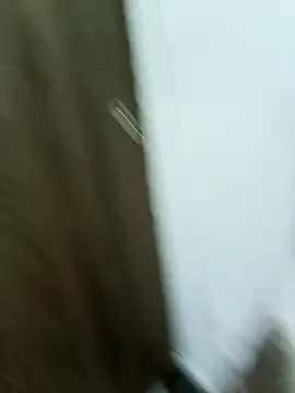 Maazikeen online show from 17, 11, 2025