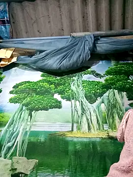 MaiHoa69 online show from 15, 11, 2025