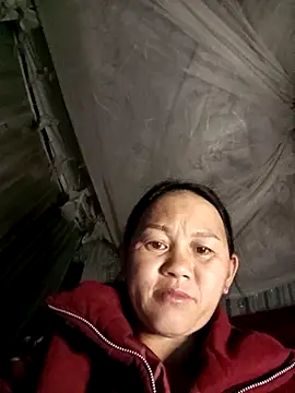 MaiHoa69 online show from 8, 3, 2026