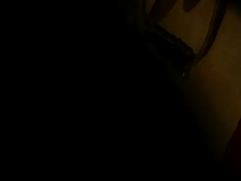 PIGBABY-LOVE online show from 11, 10, 2025