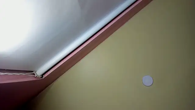 StarletTays online show from 28, 11, 2025