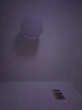 gigolobcn online show from 22, 2, 2026