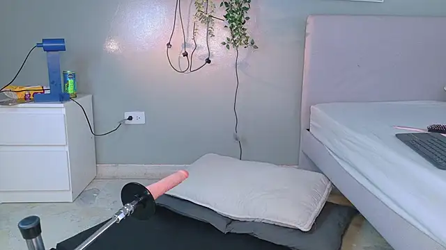 Nickifox   online show from 13, 1, 2026