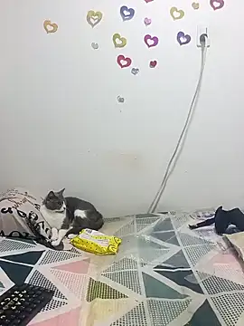 tany90 online show from 31, 10, 2025