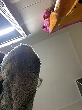 Lexi Storm online show from 3, 12, 2025