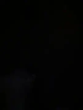 Lexi Storm online show from 15, 1, 2026