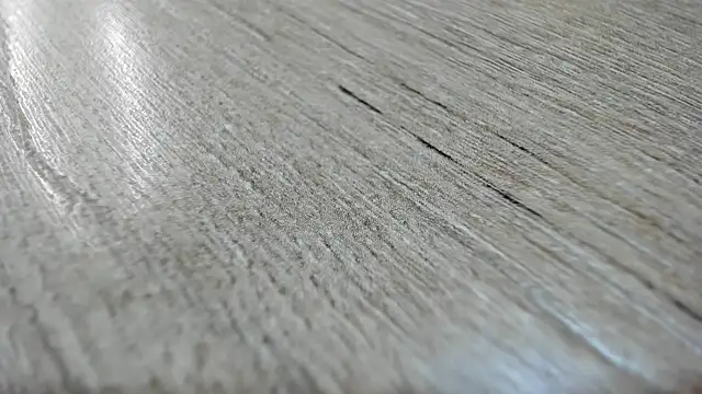 Miss Cataleya   online show from 14, 3, 2026