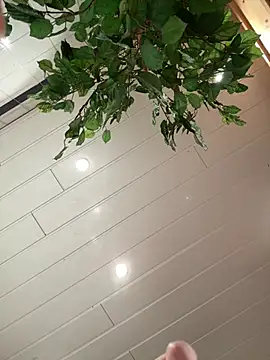 DreamThickCouple online show from 2, 4, 2026