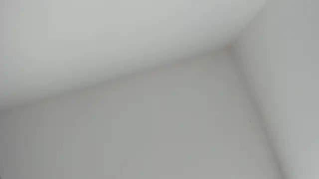 Snapshot of VioletRose_as chatting on 16, 11, 2025 VioletRose as online show from 16, 11, 2025