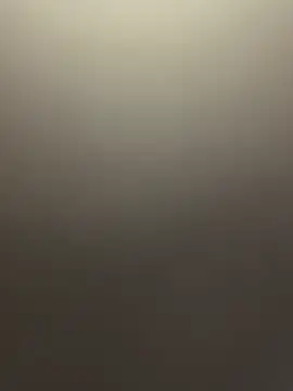 RebornWave11 online show from 2, 4, 2026