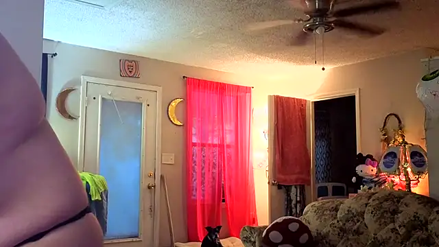 Princess  Kitty   online show from 6, 7, 2026