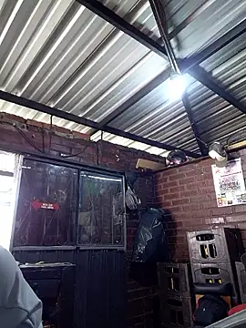 kay towers99 online show from 6, 4, 2026