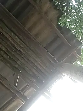 CoMay003 online show from 2, 4, 2026