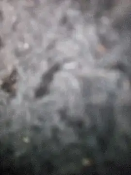 Romance32 online show from 3, 11, 2025