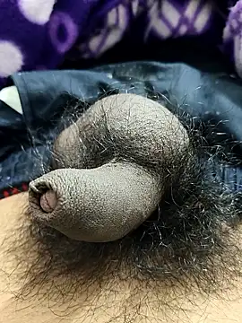 Bio-teacher online show from 13, 1, 2026