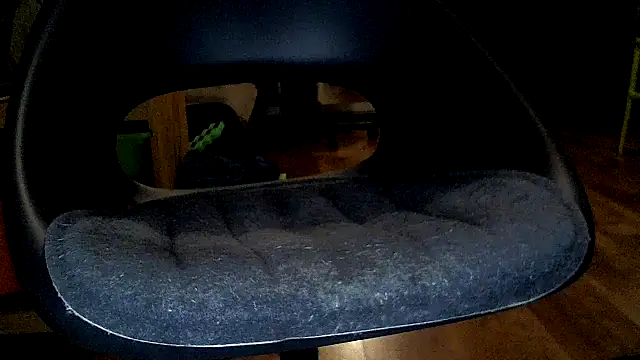 TobyDick13 online show from 17, 1, 2026