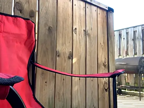 Insurance-03 online show from 26, 10, 2025