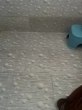 NoddingScorpion online show from 28, 3, 2026