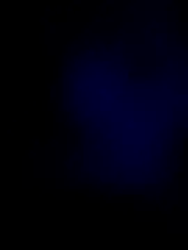 ernin2865 online show from 24, 10, 2025